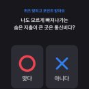 행운통신 이미지