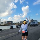 완주 | 2025 제주감귤국제마라톤 풀코스 완주 후기