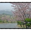 더듬이PC 이미지