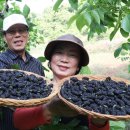 김철수농장 이미지