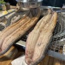 통보장어마을 - 화성시 | 통보장어마을