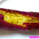 황토맛농장