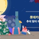 디지지에스 이미지