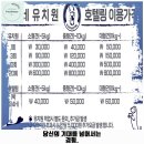 옥자네애견카페 유치원 호텔 미용 이미지