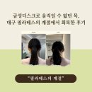 움직일 시간 | 급성디스크로 움직일 수 없던 목, 대구 필라테스의 계절에서 회복한 후기