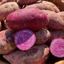 깊은내농장 이미지