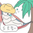 코코펫살롱 이미지