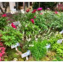 별빛약업사 이미지