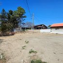 백도마을진입로 이미지