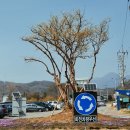 양평수목