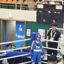 복싱피스트 호수 이미지