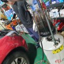 멘토카프로 이미지