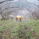 인비농장 이미지