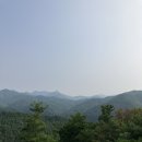 [무주여행] 향로산자연휴양림 주목나무방 후기, 나무와그릇 카페
