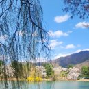 환상1리 이미지