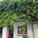 비네일(b nail) | 다낭 여행 코스 추천 미케비치 네일 샵 미라비네일, 패디 이게 만오천원!?