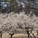 에이디기획 | 시대를 바꾸자, 개헌’ 현수막 제작 및 시공 후기 – 에이디기획의 정성 가득한 경북대 행사 홍보]
