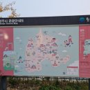 마당나온수탉 | [원주 명소] 반계리 은행나무 방문 후기(절정기간간, 주말 방문, 주차 및 꿀팁)