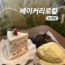 강남역 11번출구 대형카페 소금빵 맛집 베이커리로컬