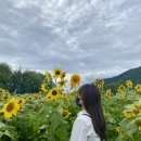 블레싱헤어 - 칠곡군 중앙로2길 50-1 | 블레싱헤어