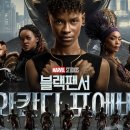 Black Panther Wakanda Forever 이미지