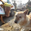 경부축산 이미지