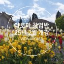 겨울 제주, 성산 광치기해변 초록카펫, 비다아로마 힐링 아로마테라피 기업출강 교원연수 교육지원청 위...