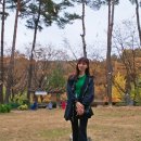 힐링(춤)동작테라피 이미지