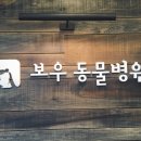 보우동물병원 이미지