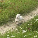 하석재 | 강릉 촌캉스/한옥숙소/ 하석재 강추후기/150년 전통한옥/ 감성자쿠지/리틀포레스트/힐링스테이