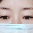 호수J속눈썹