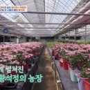 누나농장 이미지