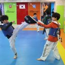 충효태권도체육관 이미지