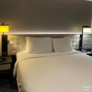 시드니(1) | 호주 신혼여행 호텔 추천 ✨ 하얏트 리젠시 시드니 오션뷰 1박 솔직 후기 ( 가격, 서비스, 위치 )