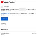 페이먼트 코리아