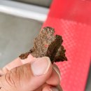 스피드메이트 증산점 이미지