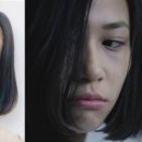 해바라기 뮤직 이미지