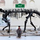 대연산업 | 부경대 대연캠퍼스 박물관 천년부경룡과 실러캔스 화석