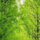 자연의 소리 이미지