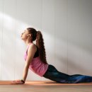 굿모닝건강요가 이미지