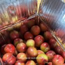 조은가구 백화점 이미지