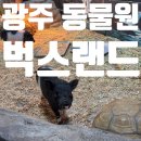 광주 벅스랜드 아이랑 나들이 동물원