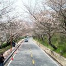 한수제 일원 이미지