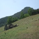 아미산농장 이미지