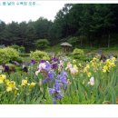 탁구 오후B 이미지