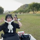 다다피크닉 이미지