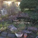 자명LPG충전소 이미지