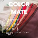 컬러헤어샾 | 창원 퍼스널컬러 진단 후기, 컬러메이트에서 인생 컬러 찾고 왔어요!