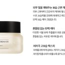 인셀덤하다 이미지