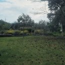 배나무실의 아침 이미지